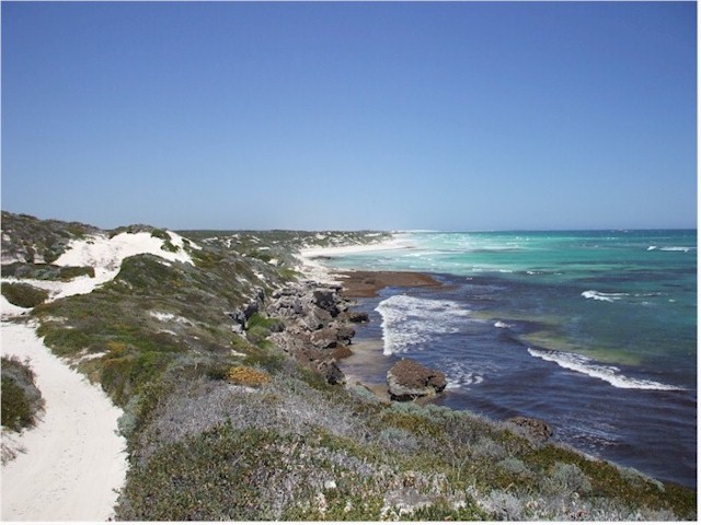 Australia Part 1 2007/08 The magnificent coastline between Cervantes and Lancelin.