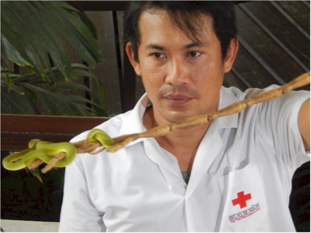 SE Asia Tour 2014 The handlers keep a very close eye on the particularly venomous and agile snakes!