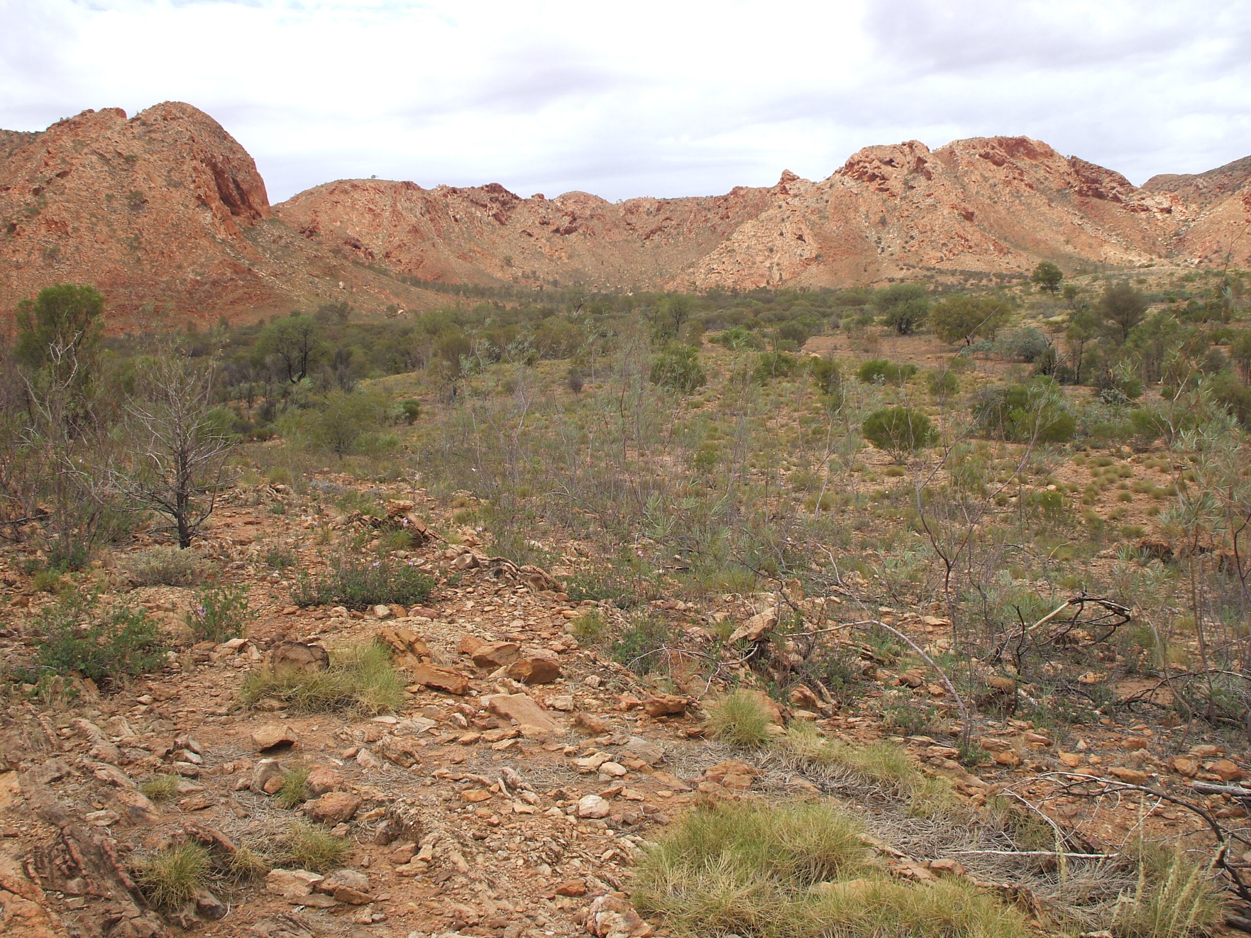 Australia Part 2 2007 Gosse Bluff - site of a giant Comet crater.