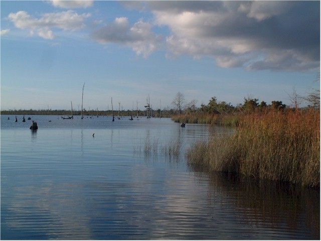 Virginia to Florida 2004 On the Alligator River...