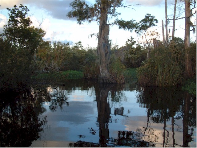 Virginia to Florida 2004 On the Alligator River...