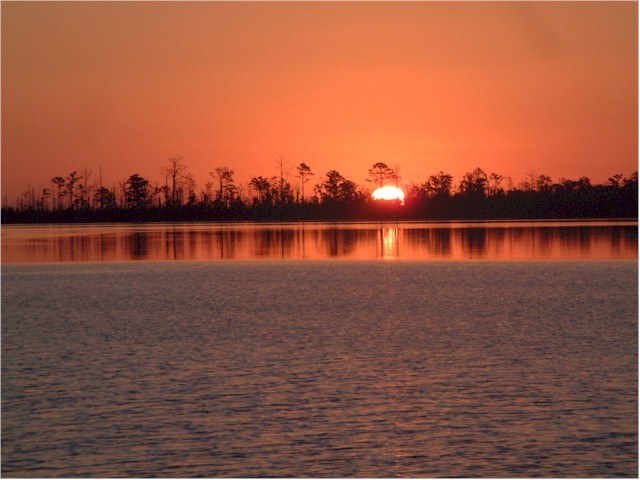 Virginia to Florida 2004 On the Alligator River...