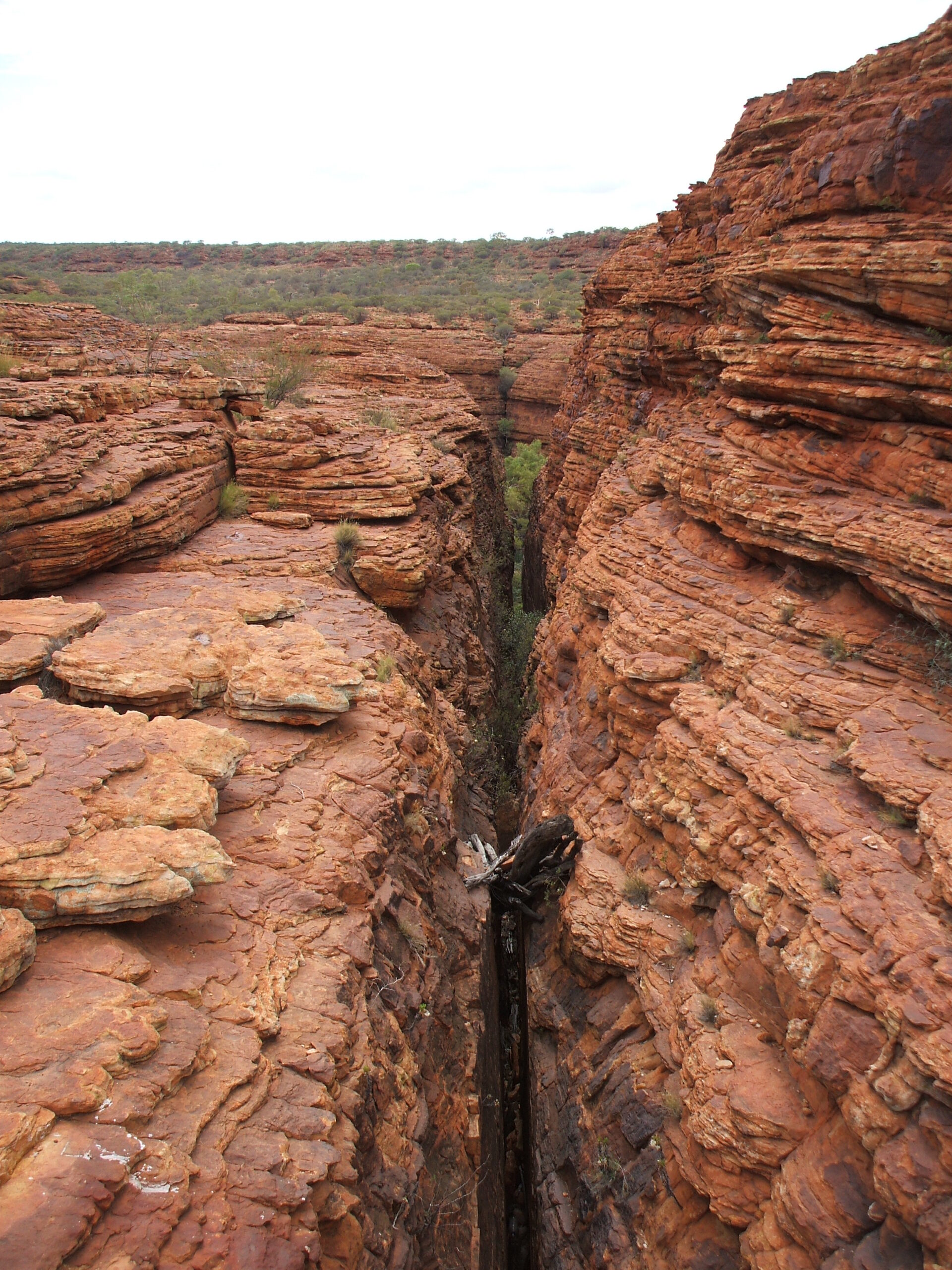 Australia Part 2 2007 Kings Canyon.
