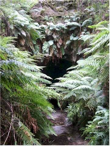Australia Part 3 2008 ... and the amazing hidden valley at the other end.