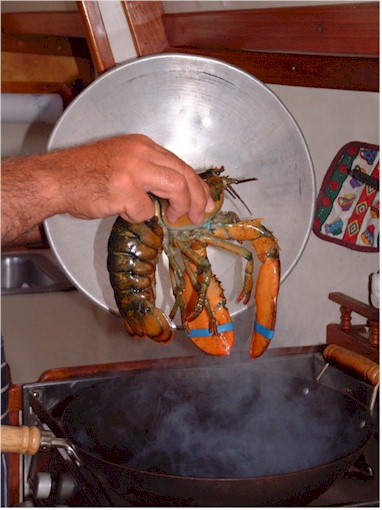 New England 2004 ... when no other pot is large enough, use a wok!