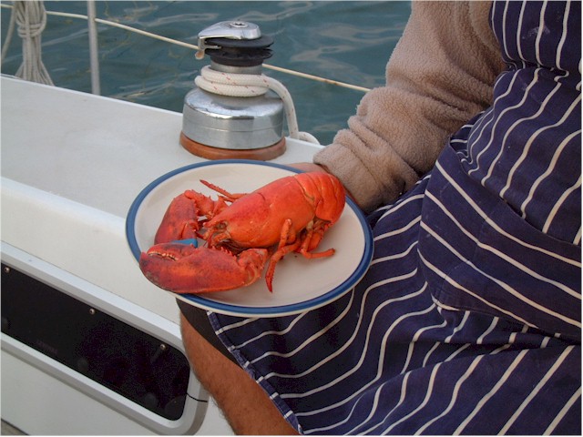 New England 2004 Enjoy!