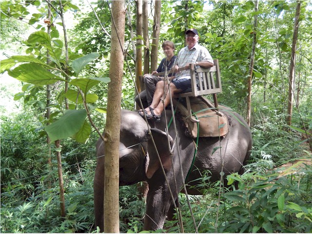 SE Asia Tour 2014 Keith did an elephant ride through the jungle...