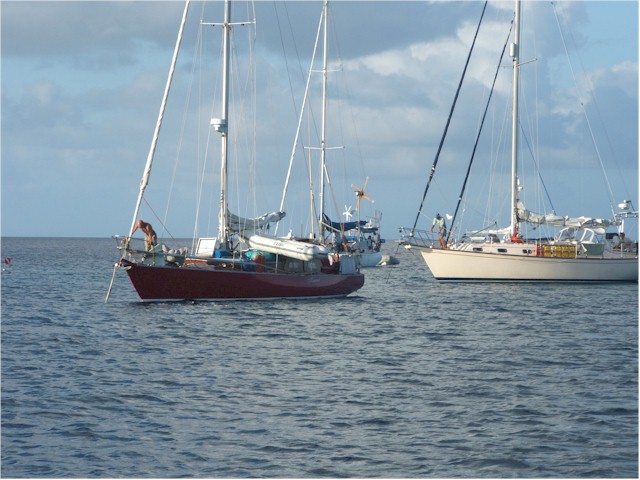 Suwarrow Atoll and Tonga 2006 After bad weather, the anchor chains had wrapped around the coral bombies...