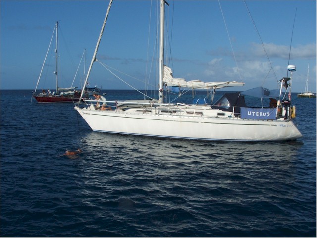 Suwarrow Atoll and Tonga 2006 ... and Keith spent 4 hours in the water helping them untangle them!