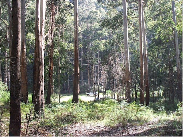 Australia Part 3 2008 The Yarra Ranges at the southern end of the Great Dividing Range.