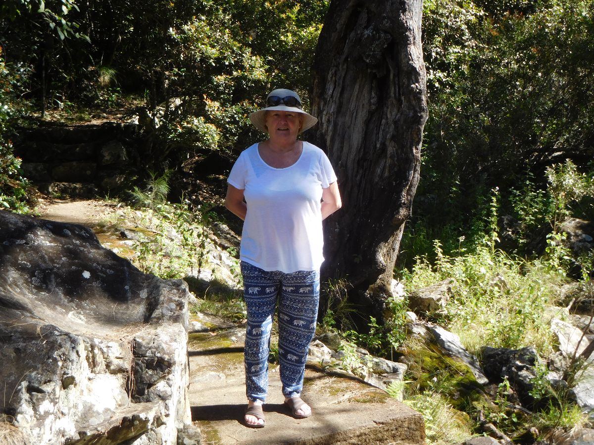 In the Eungella National Park
