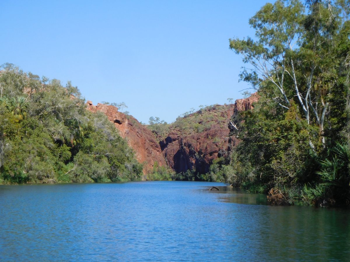 Adel's Grove in the Lawn Hill National Park