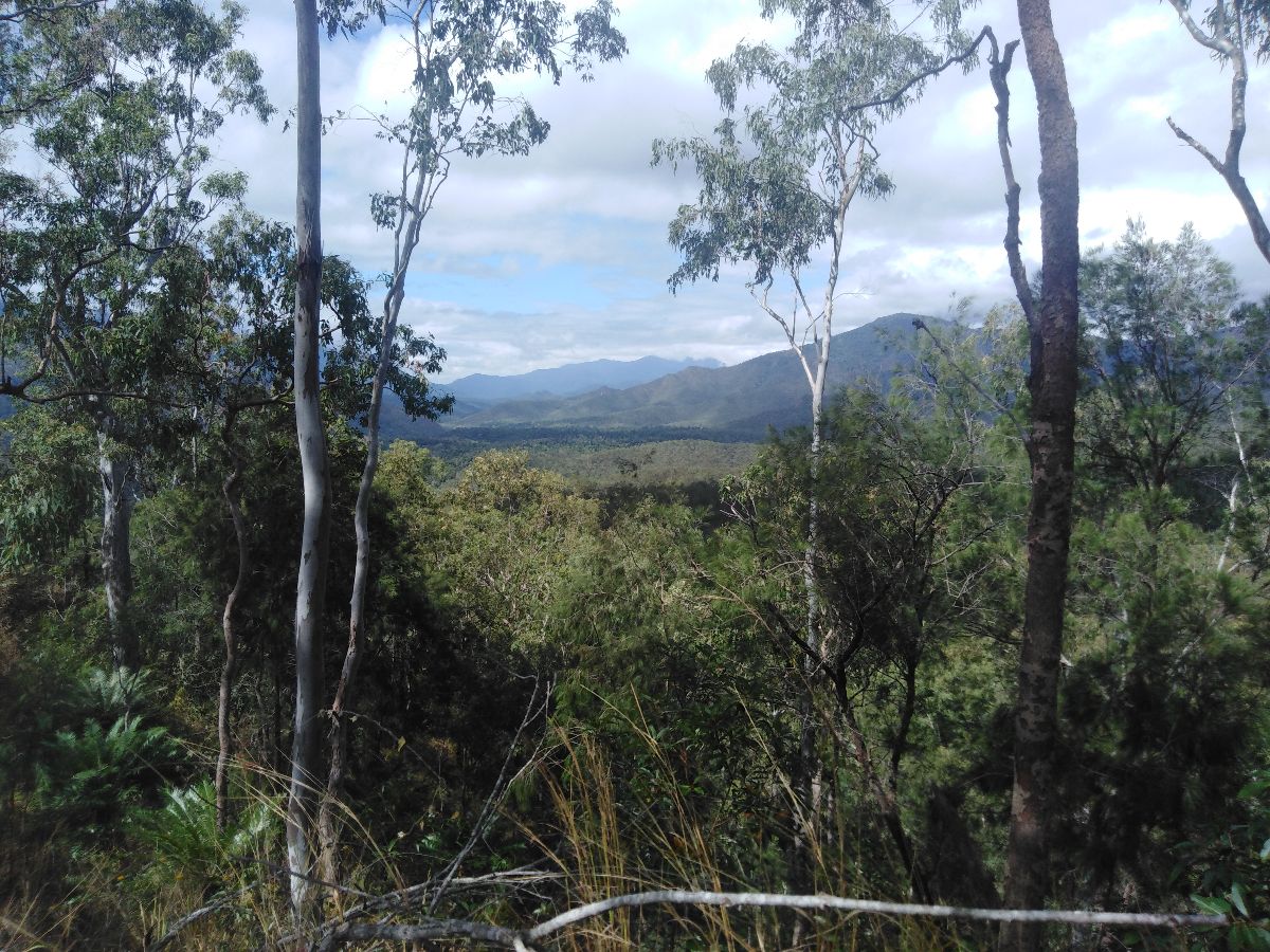 Heading inland towards Undarra