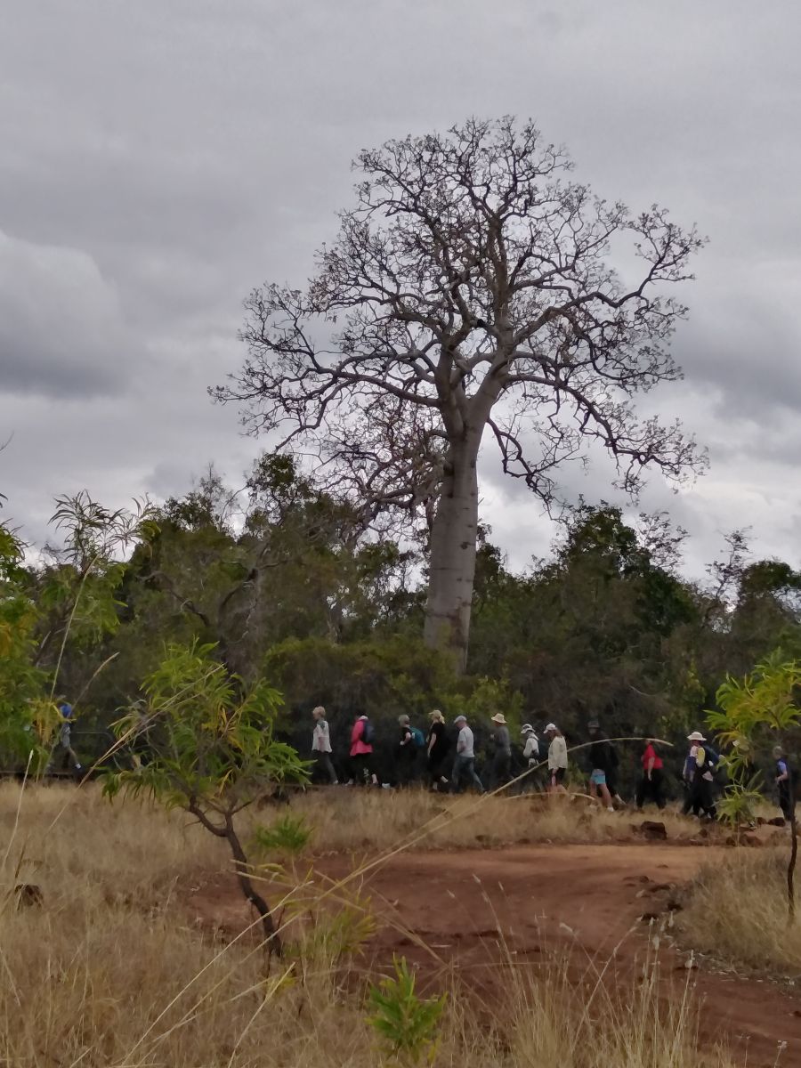 We took a guided tour of the Undarra Lava Tubes