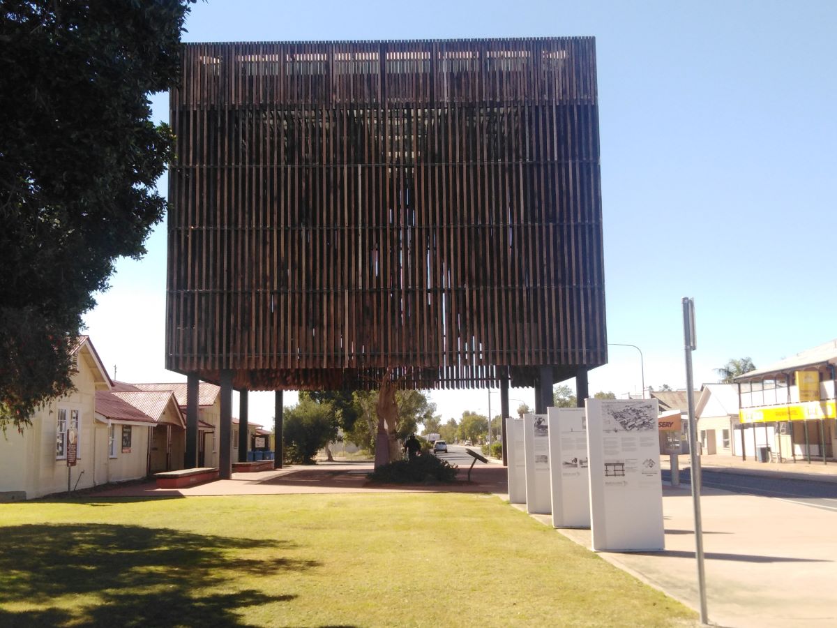 The "Tree of Knowledge" in Barcaldine