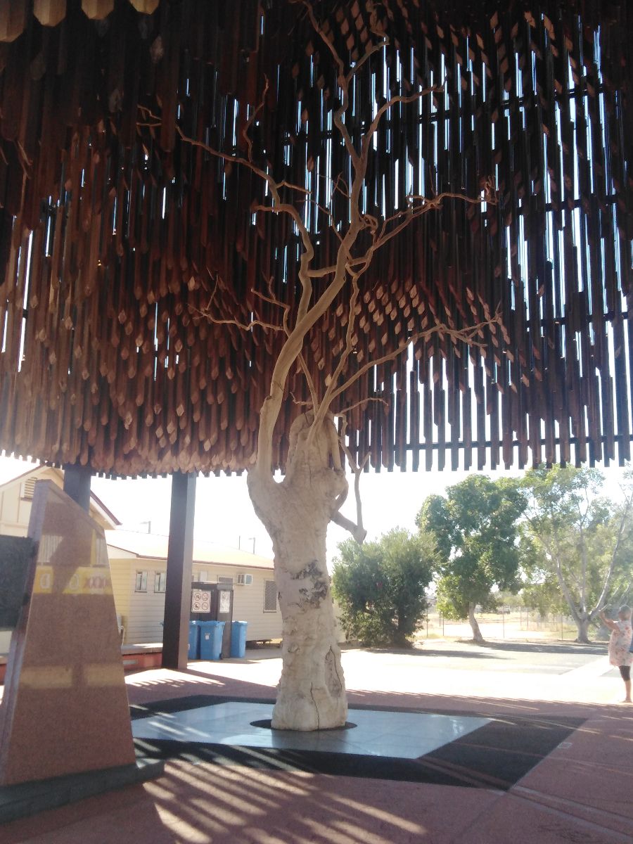 The "Tree of Knowledge" in Barcaldine
