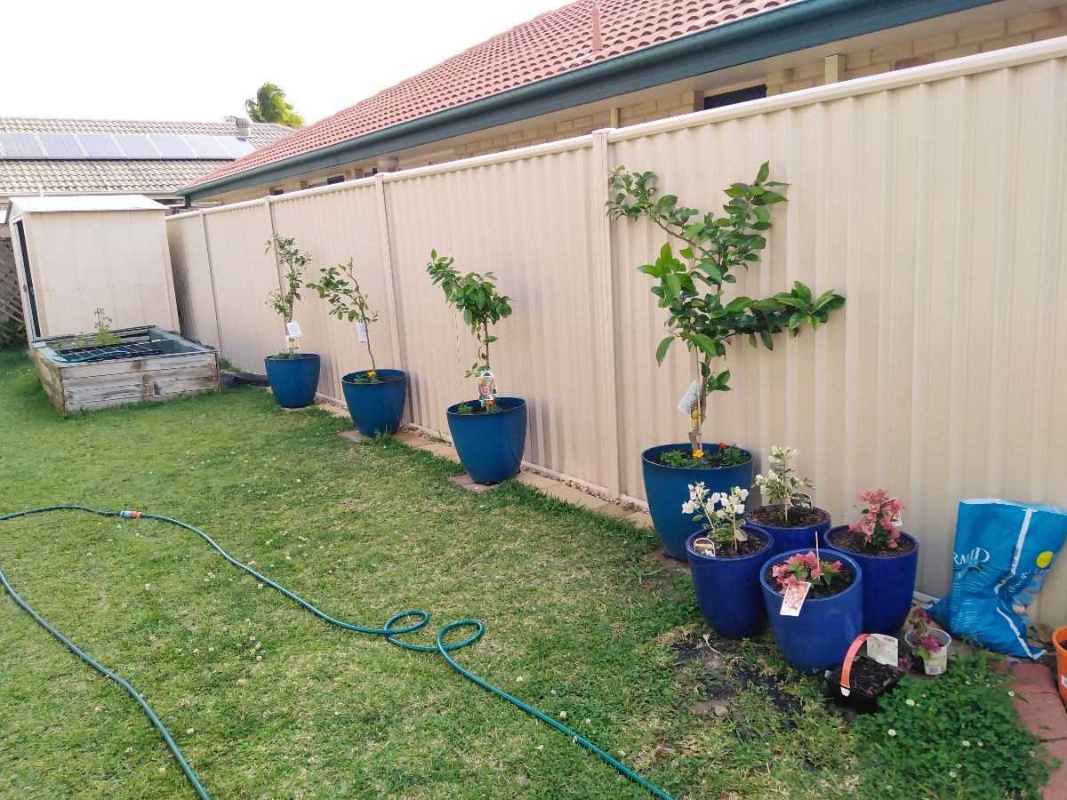 Our watering system for the pot plants caused a problem