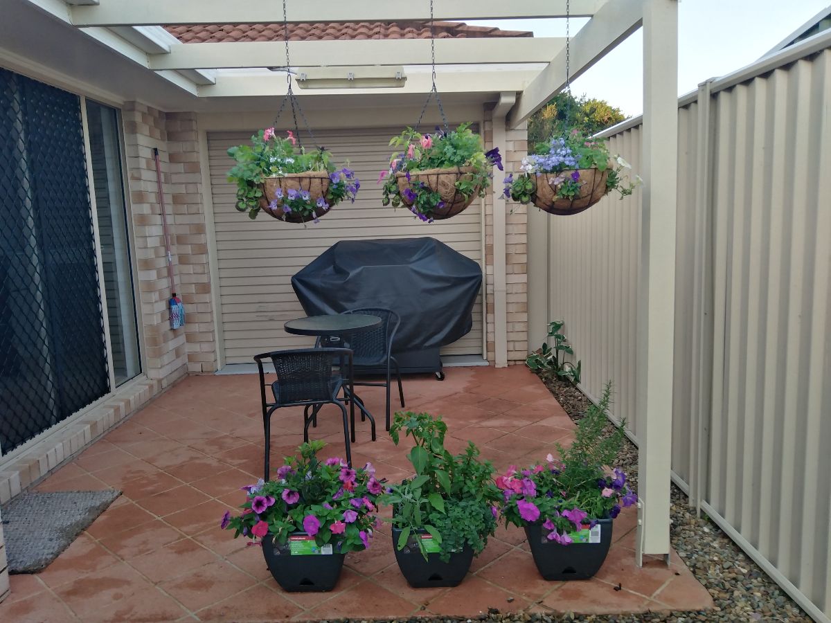 Patio outside the dining room now looks pretty