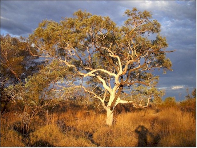 Fabulous sunset in the Karijini National Park - but the flies were unbelievable!