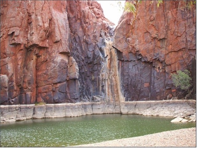 Python Pool in The Millstream Chichester National Park.