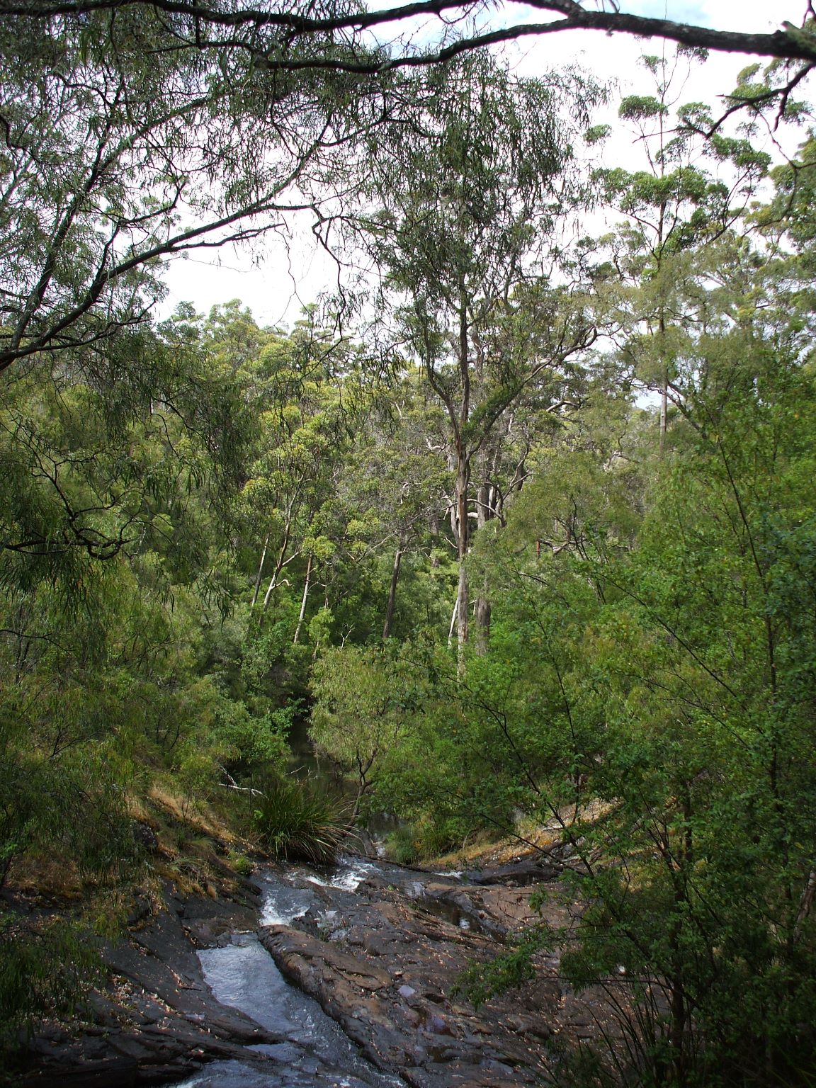 Pretty South West Western Australia