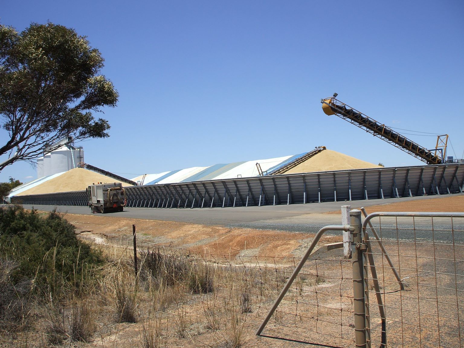 WA is famous for its wheat belt