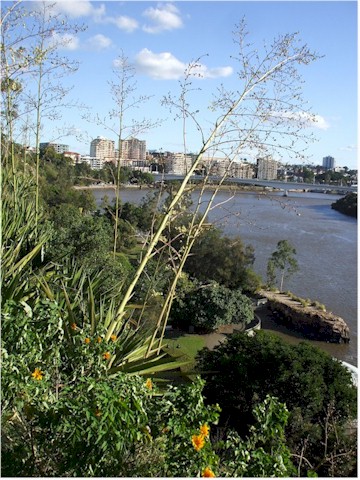 Brisbane River - still beautiful.