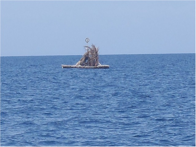 ... this is a 'FAD' Fish Attracting Device - they are amazing and everywhere - even in the deepest sea.