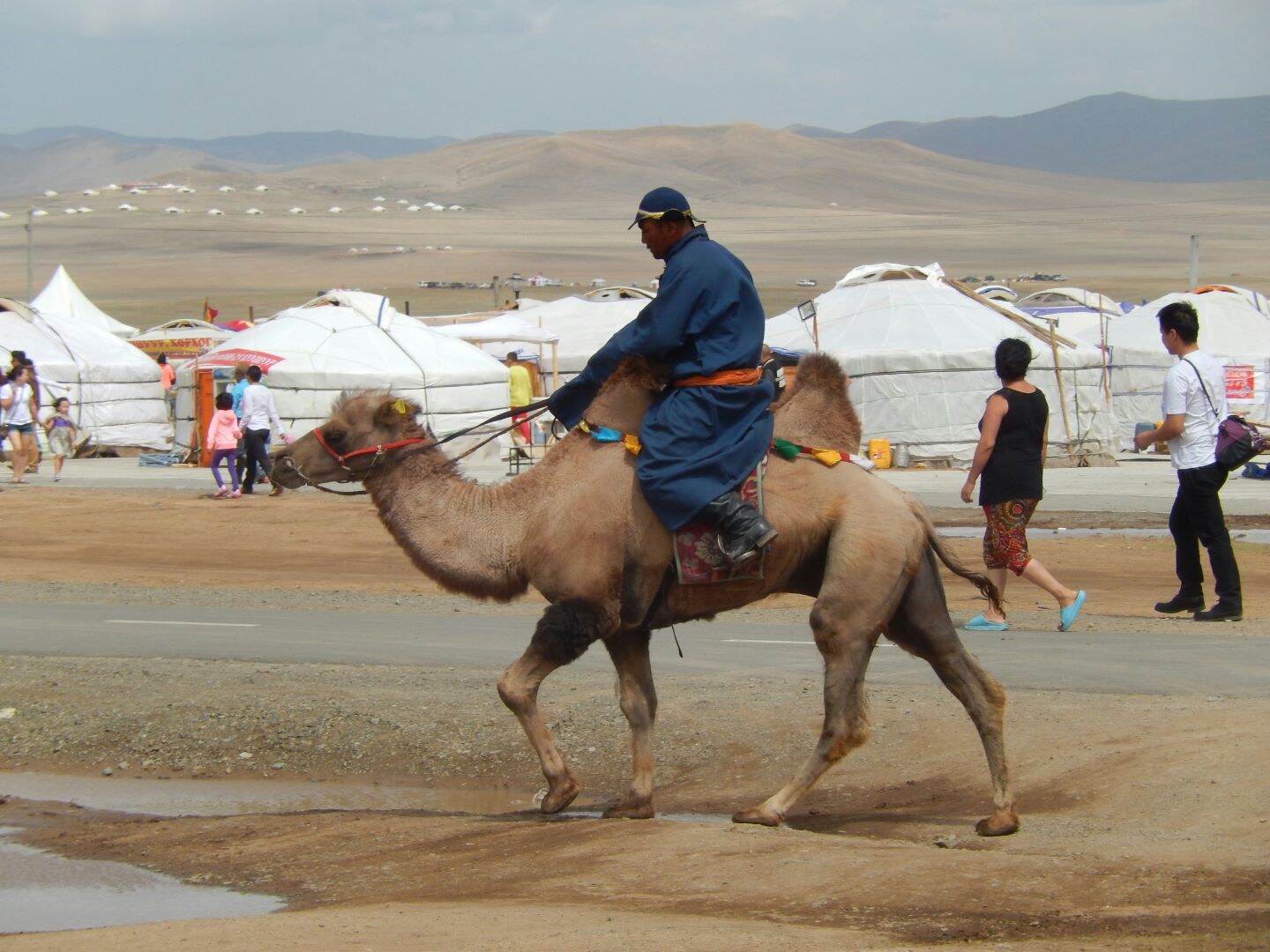 There were also camel races - and the gers in the background offered snacks and refreshments.