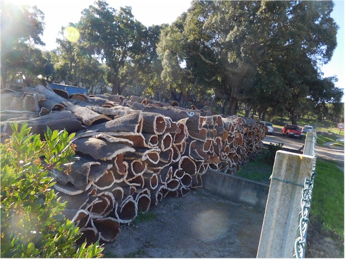 The cork is air dried before being used.