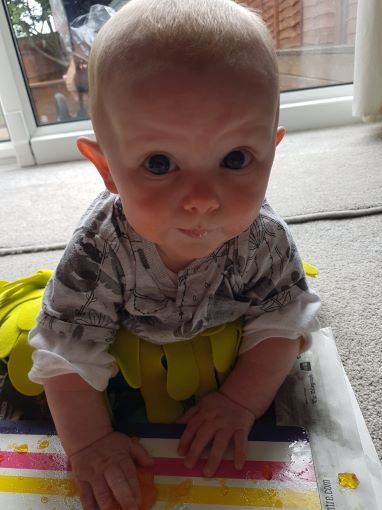 Alba at 4 1/2 months old.