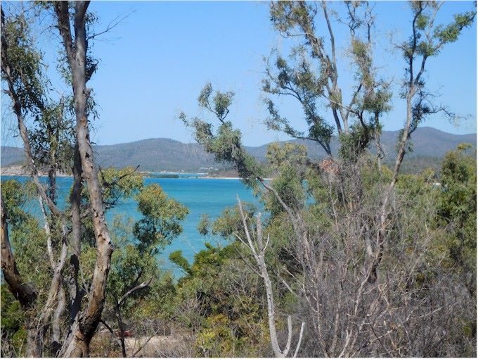 Airlie Beach, on the Whitsunday Coast was the venue for the Shag Islet Cruising Yacht Club Rendezvous 2019 ('Shagger's Week').