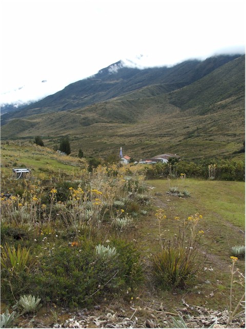 We took a walk through the clouds...
