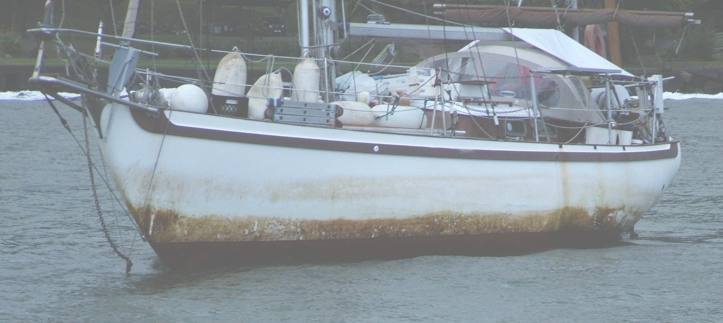 All the yachts looked like this after crossing the Pacific - the grass and barnacles take a lot of scrubbing to remove!
