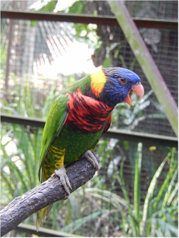 The Bird Park in KL...

