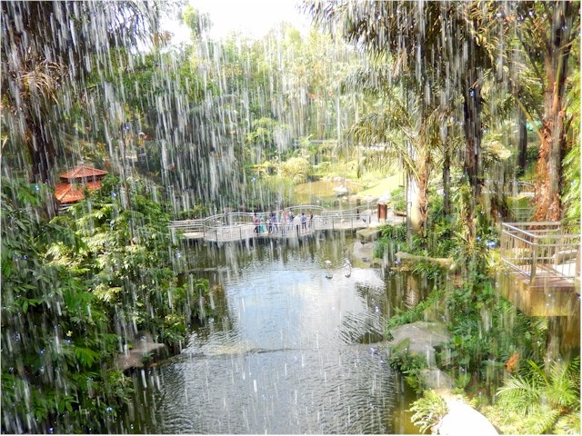 We spent about a week in KL and Keith visited the Bird Park...
