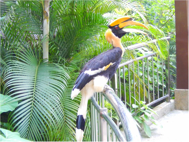 The Bird Park in KL.
