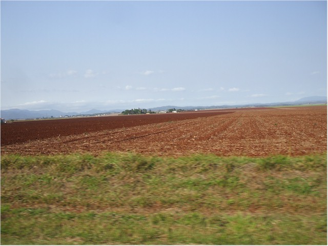
Then we explored the Atherton Tablelands (inland from Cairns) - fertile banana growing area.
