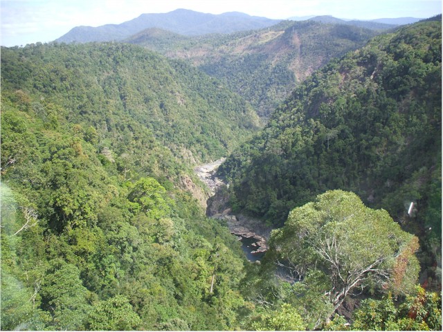 
The return trip is via the SkyTrain above the rainforest...
