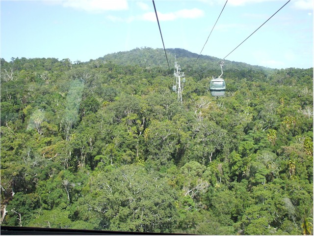 
The return trip is via the SkyTrain above the rainforest...
