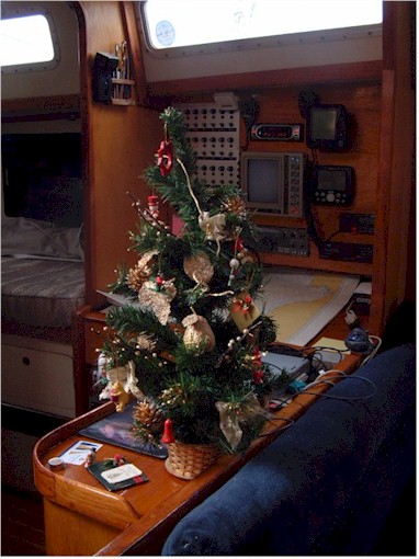 And we bought a small Christmas tree for down below.