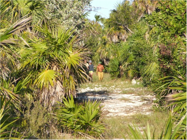 Then it was on to Cayo Cantilles - a monkey conservation sanctuary...