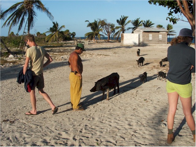 ...with no monkeys! But four uniformed Cubans - undoubtedly security forces!