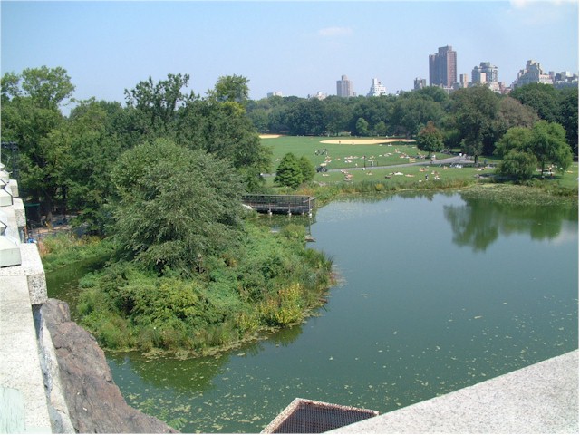 Central Park, New York...