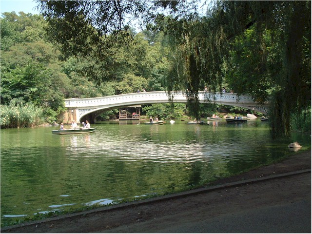 Central Park, New York...