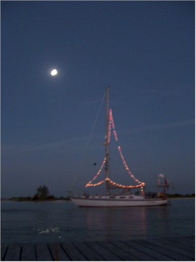 Poco Andante decorated for Christmas