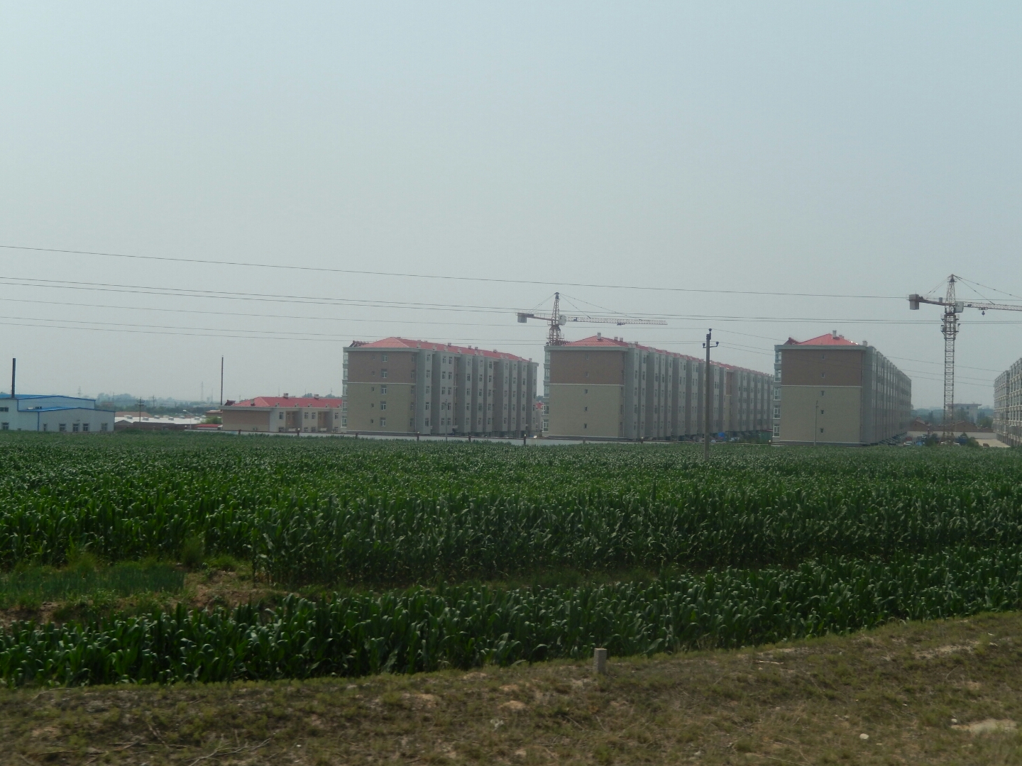 ... what appears to be new residential apartment blocks being built.
