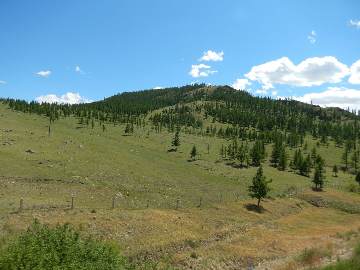 Past the Gobi Desert into more fertile country.
