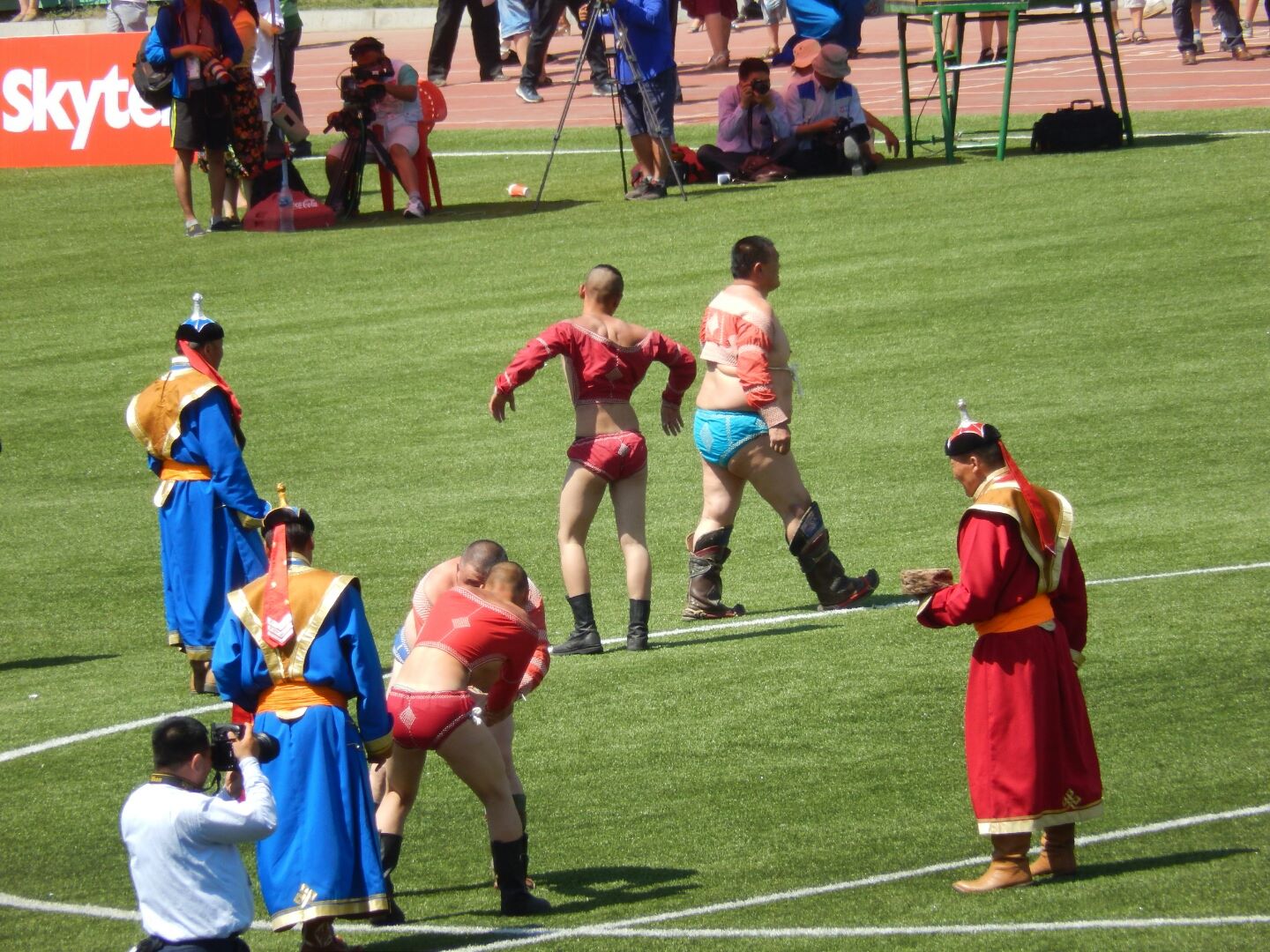 
No rings - just tussling on the grass, each bout lasting a few minutes...
