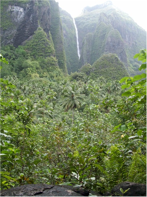 We took a walk to the Ahuii Waterfalls - tallest in Polynesia.
